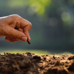 Discovering Your Seeds