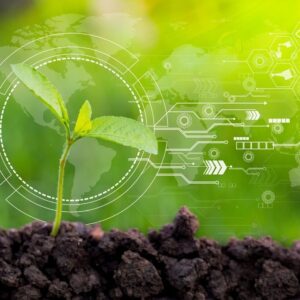 Seed Technology for Wealth Creation